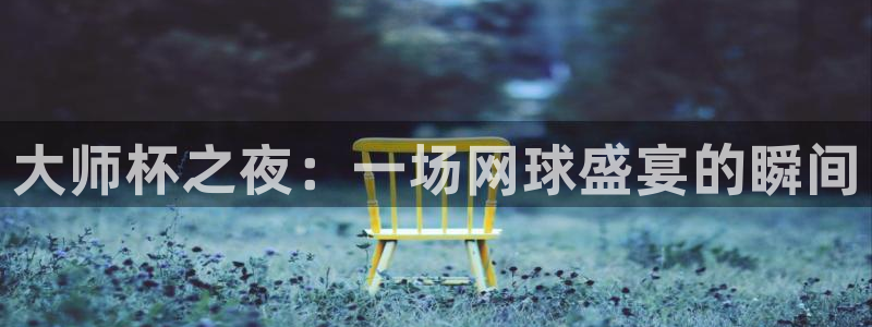 大师杯之夜：一场网球盛宴的瞬间